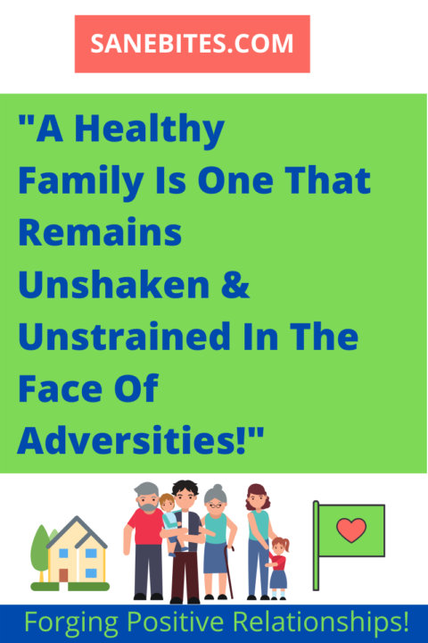 what-are-the-5-traits-of-a-healthy-family-must-read-blog